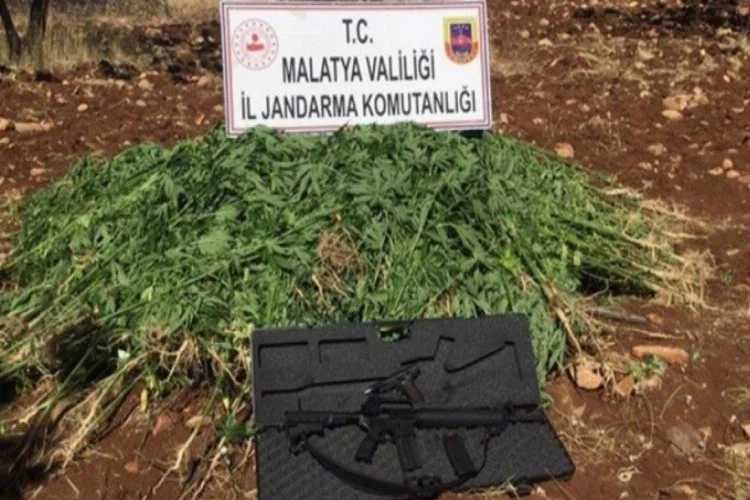 Malatya'da bir kişi kenevir ve silahlarla yakalandı!
