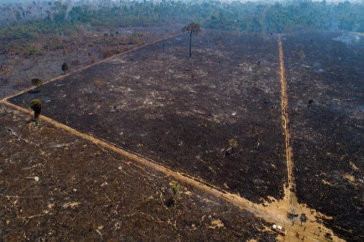 Amazon ormanları yanmaya devam ediyor