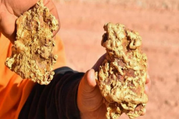 Avustralyalı altın avcıları birkaç saat içinde 250 bin dolarlık altın buldu