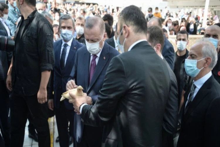 Cumhurbaşkanı Erdoğan, kuş yemi satıcısının ahşap güvercinini imzaladı