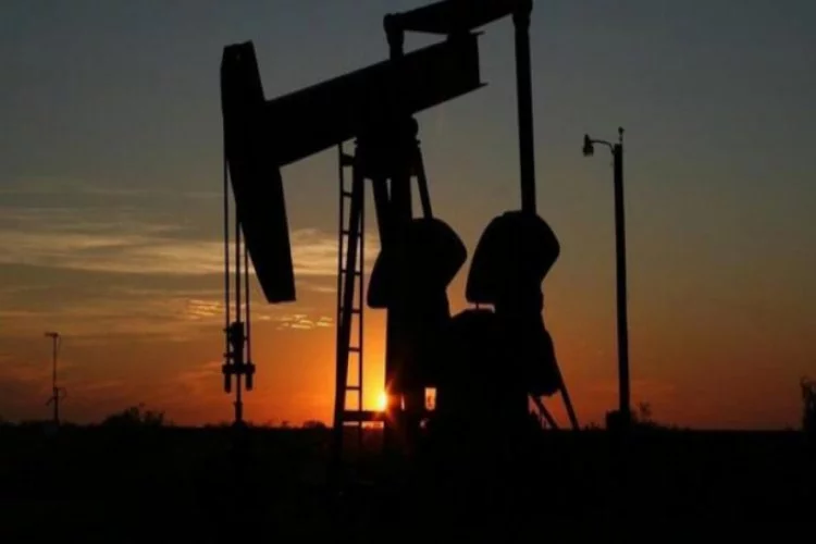 Brent petrolün varili 45,01 dolar