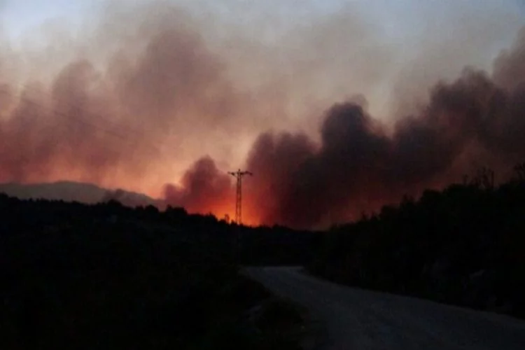 Kozan'daki yangın kontrol altına alındı