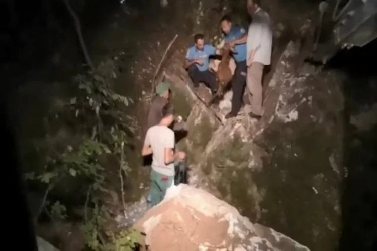 Bursa'da kayalara sıkışan keçiyi 1 saatte kurtardılar