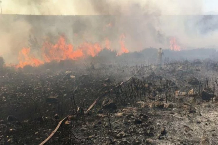 Korkutan yangın yazlık evlere 100 metre kala söndürüldü!