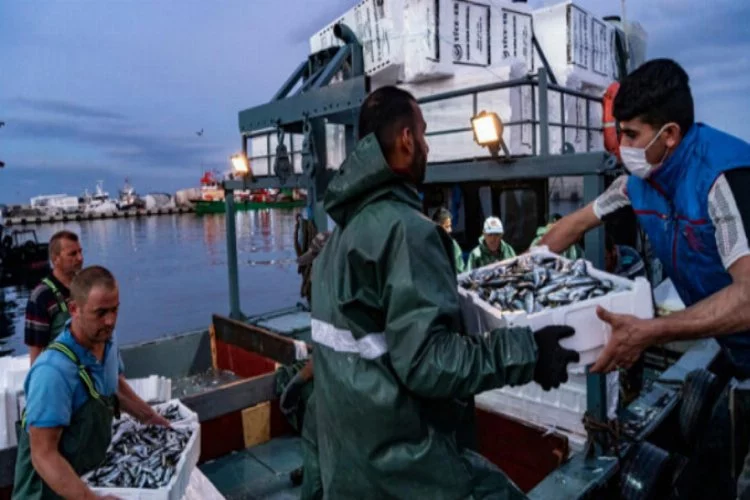 Balıkçılar ağlarını attı, yeni sezon büyük umutlarla açıldı