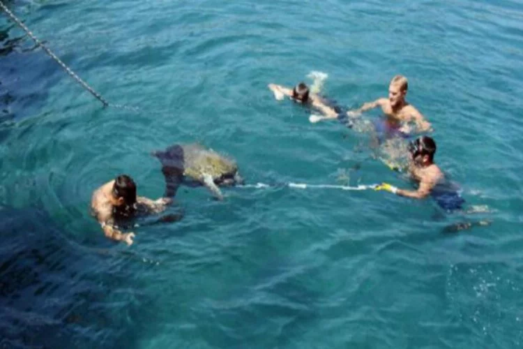Yaralı deniz kaplumbağası, 3 saatte kurtarıldı