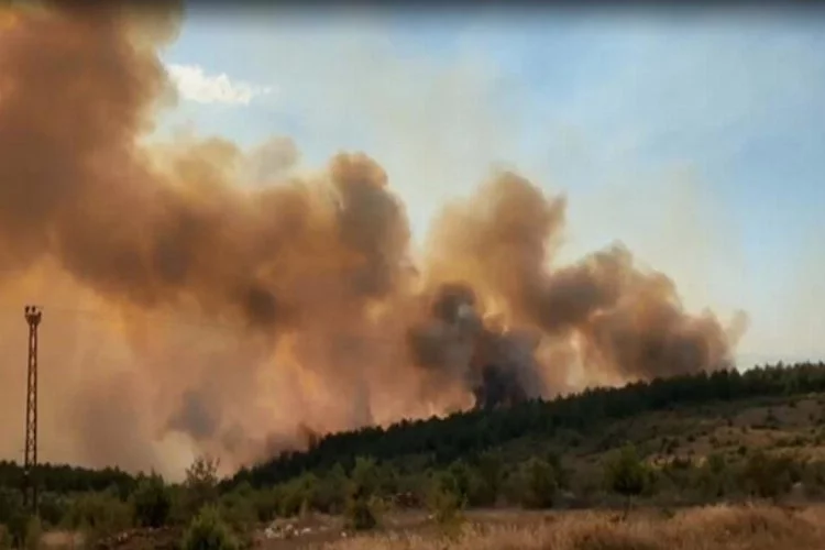 Çankırı ve Kastamonu'da orman yangını