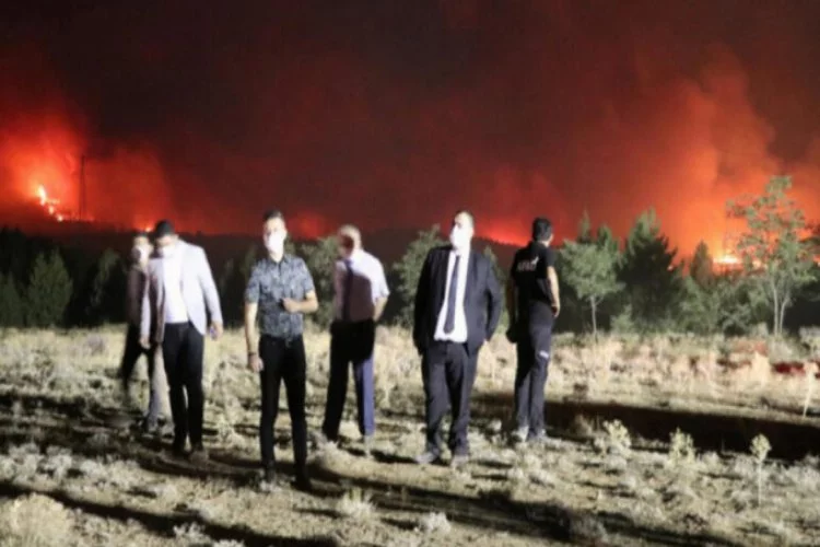 Denizli'deki orman yangını Burdur'a sıçradı