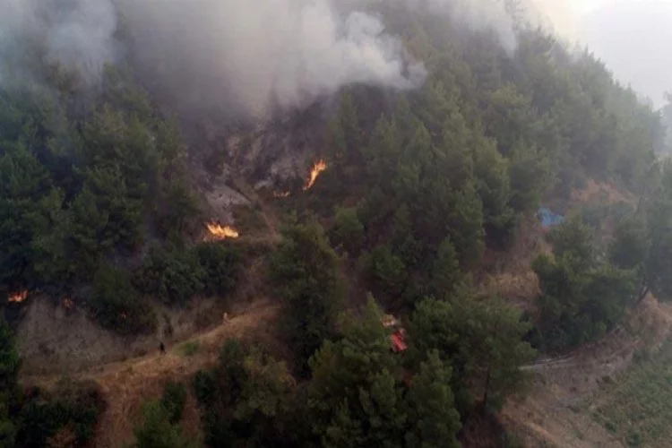 Antakya'da orman yangını söndürülmeye çalışılıyor!