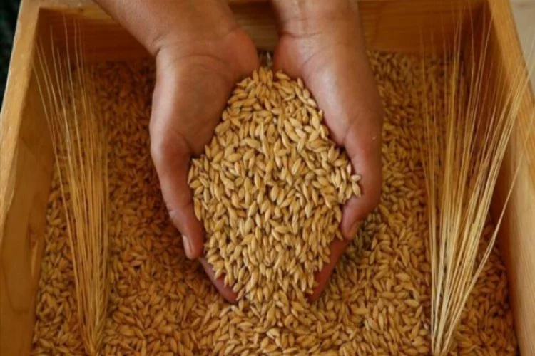 TMO, buğday ve arpa satış fiyatlarını belirledi