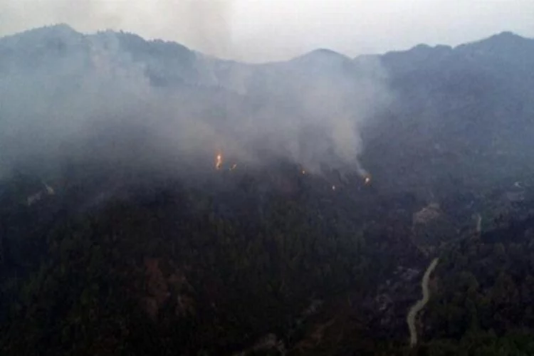 Antakya'da orman yangınına müdahale sürüyor