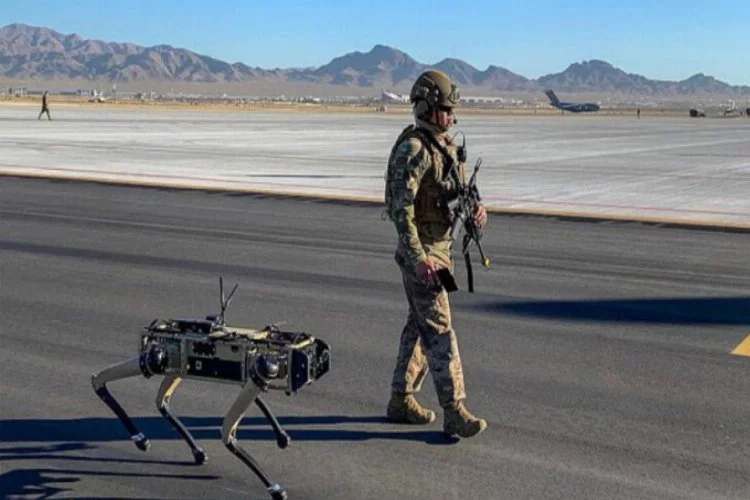 ABD ordusu robot köpeklerin testlerine başladı
