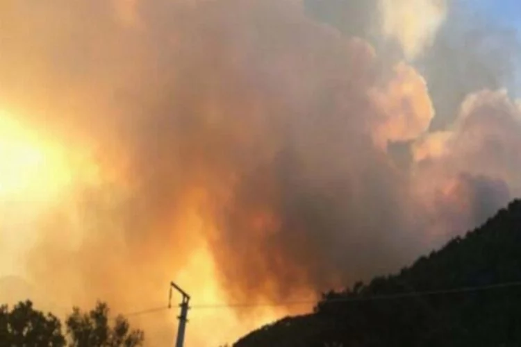 Adana'daki orman yangını devam ediyor!