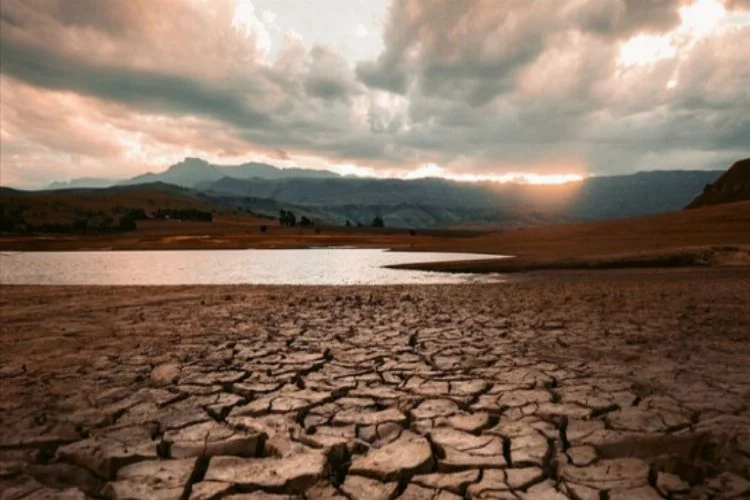 Gıda ve su kıtlığı: 2050'ye kadar 1 milyardan fazla kişi....