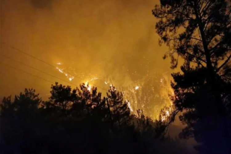 Mersin'deki orman yangını söndürüldü