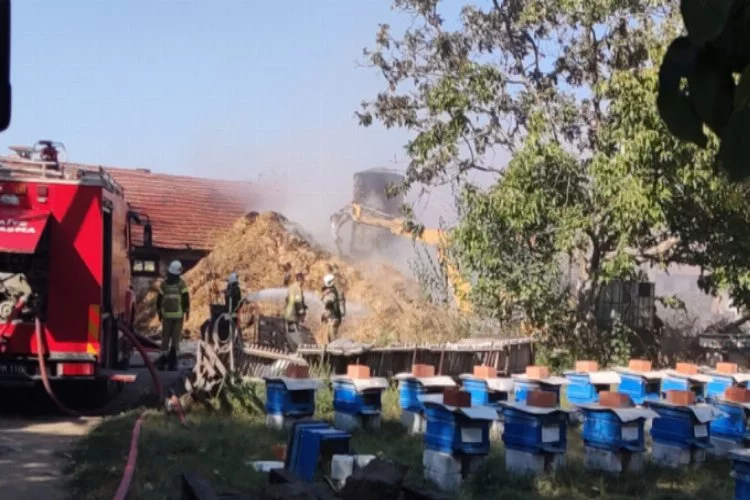 Bursa'da yangına müdahale eden itfaiyecilere arılar saldırdı