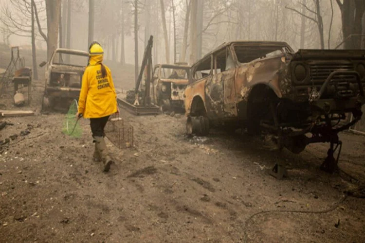 ABD'deki orman yangınlarında ölü sayısı 33'e yükseldi