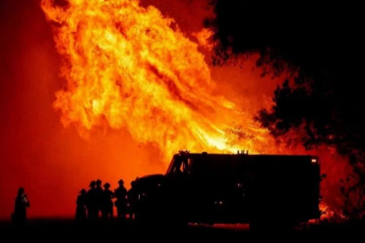 ABD'deki orman yangınlarında ölü sayısı yükseliyor!