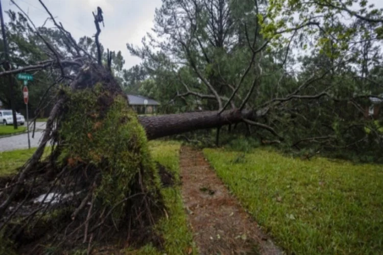Sally Kasırgası Alabama'yı vurdu