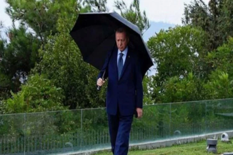 Erdoğan'ın yağmurlu havada çekilen fotoğrafı paylaşıldı