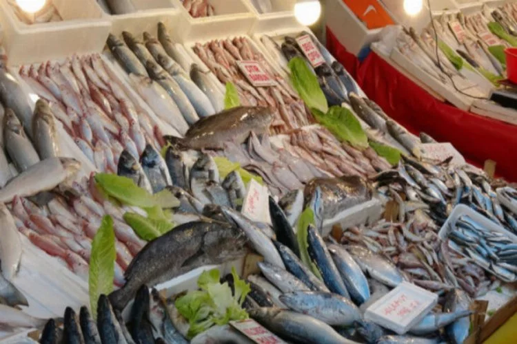 Balık bolluğu beraberinde fiyatlarda düşüşü getirdi