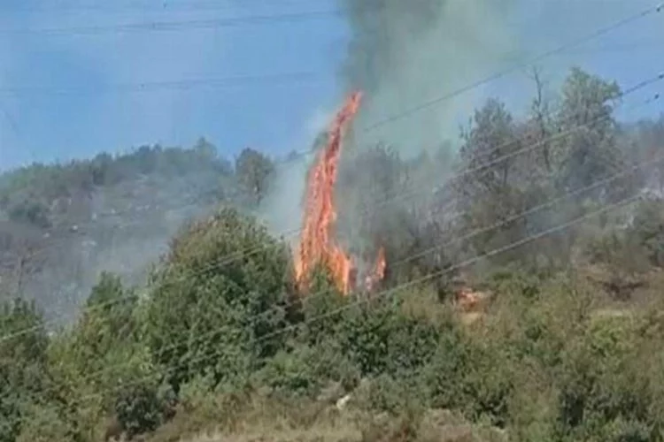 Ereğli'de 2 dönüm ormanlık alan yandı