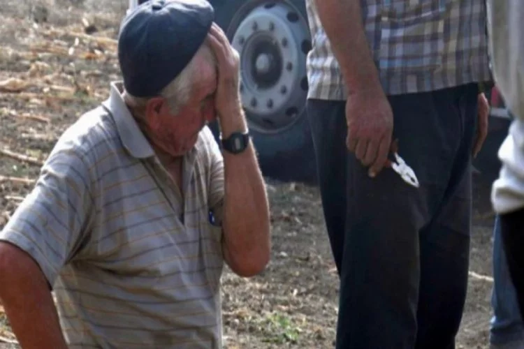 Talihsiz çiftçi, ürünlerinin yanmasını gözyaşı dökerek izledi
