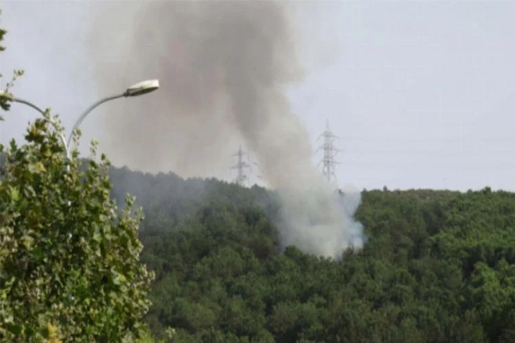 İstanbul Aydos Ormanın'dan dumanlar yükseldi