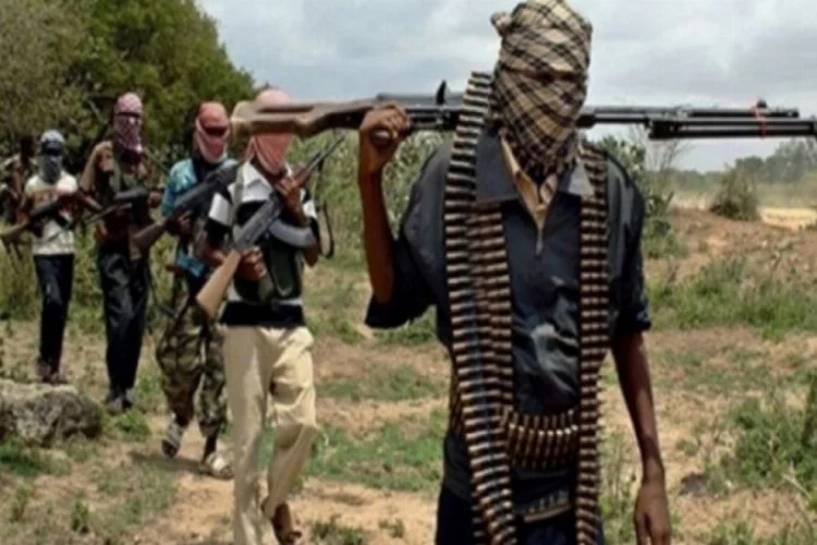 Boko Haram Vali konvoyuna saldırdı: 15 ölü