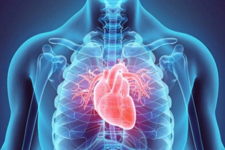 Koronavirüs en çok kalp damar hastalığı olan 65 yaş üstü erişkinlerde etkili