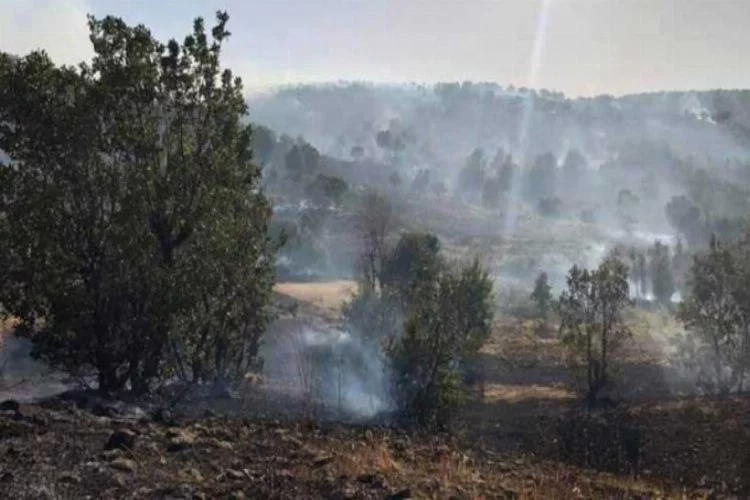 Arıcak'taki orman yangını söndürüldü