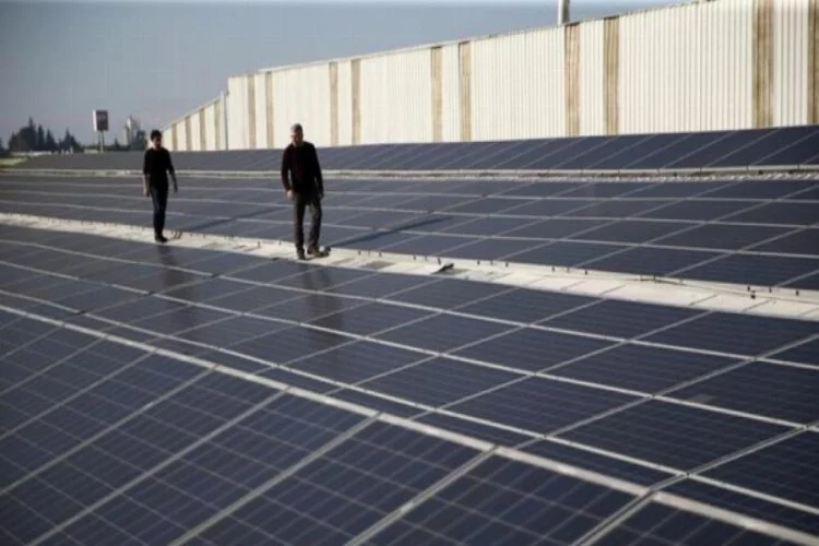 Yenilenebilir enerji, 11,5 milyon istihdam sağladı