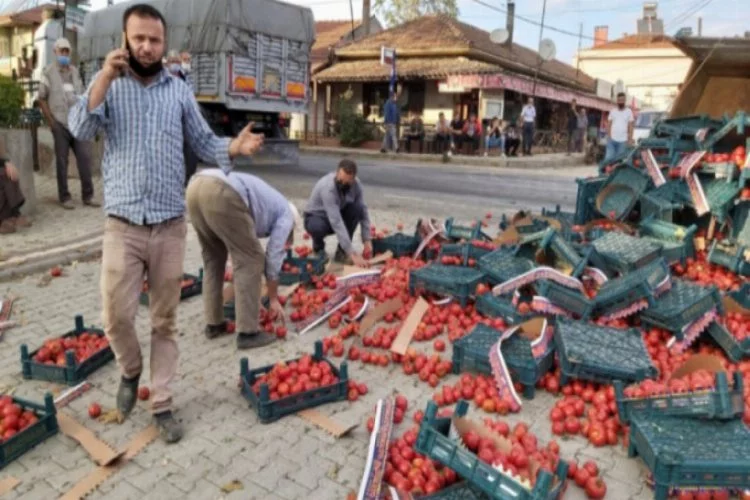 Bursa'da kara yolu domates tarlasına döndü