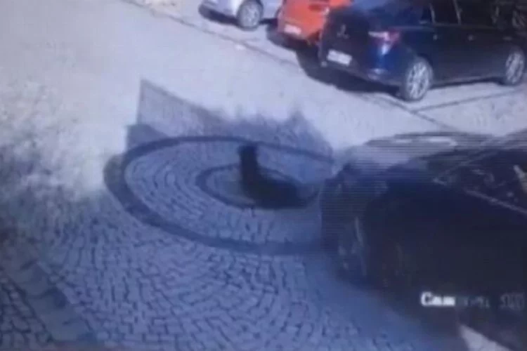 İstanbul'da feci olay! Yolda yatan köpeği ezdi