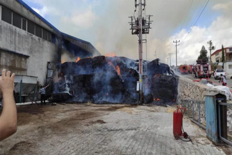 Organize Sanayi Bölgesi'nde fabrikada yangın