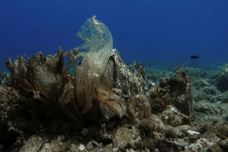 Okyanusların dibinde '14 milyon tondan fazla mikroplastik olabilir'