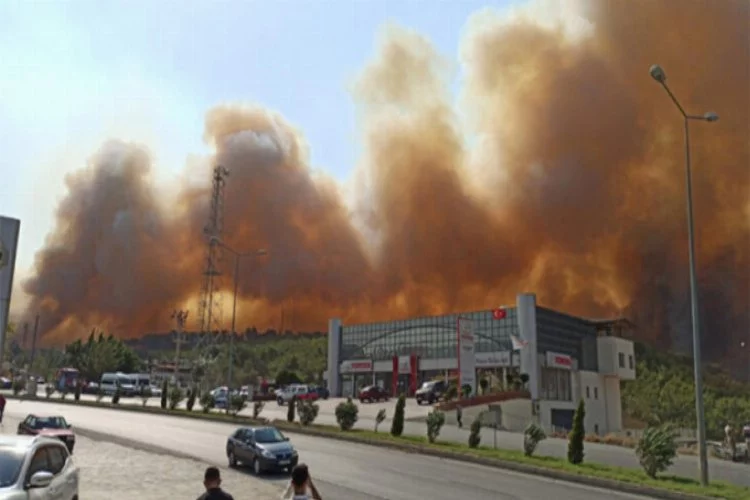 Terör örgütü, Hatay'daki orman yangınını propaganda çalışmasına dönüştürdü