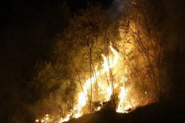 Trabzon'daki yangında büyük korku ve panik yaşandı!