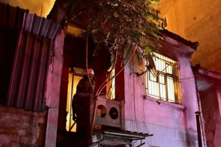 İzmir'de üzücü olay! 25 papağan yanarak öldü