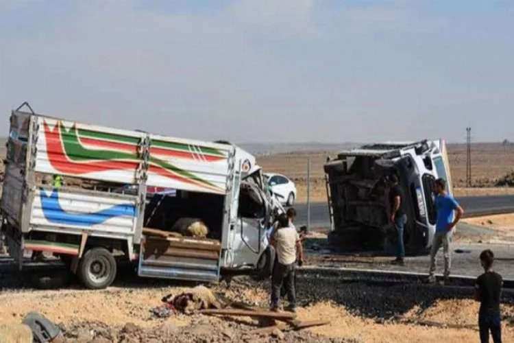 Siverek'te kamyonlar çarpıştı! 3 kişi yaralandı