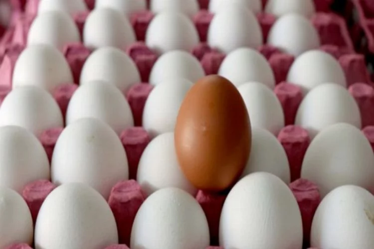 Yumurta fiyatlarına son 2 ayda yüzde 30 zam