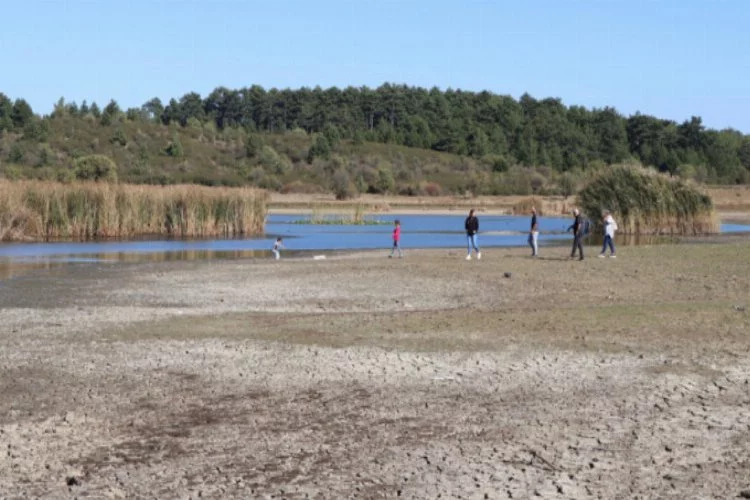 Kuş cenneti Yayla Gölü'nde 20 yılın en düşük su seviyesi