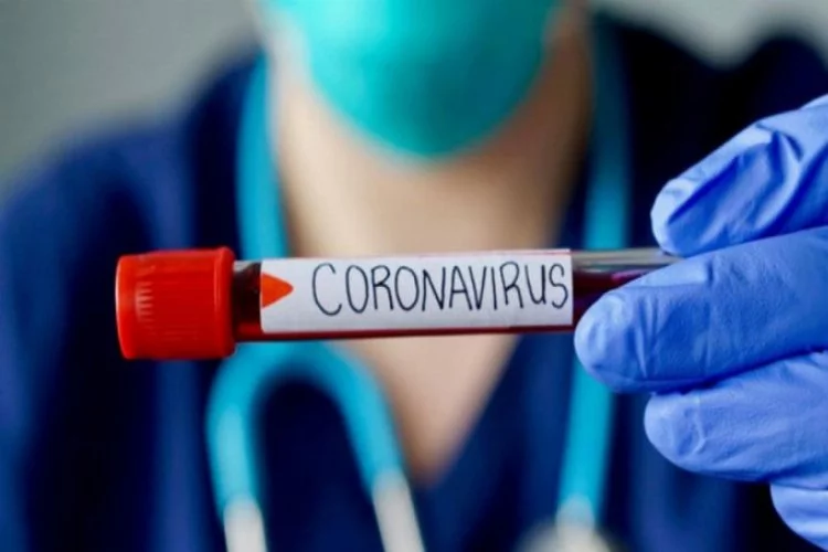 Yeni koronavirüs tehlikesi! 'İnsanlara bulaşma ihtimali yüksek'