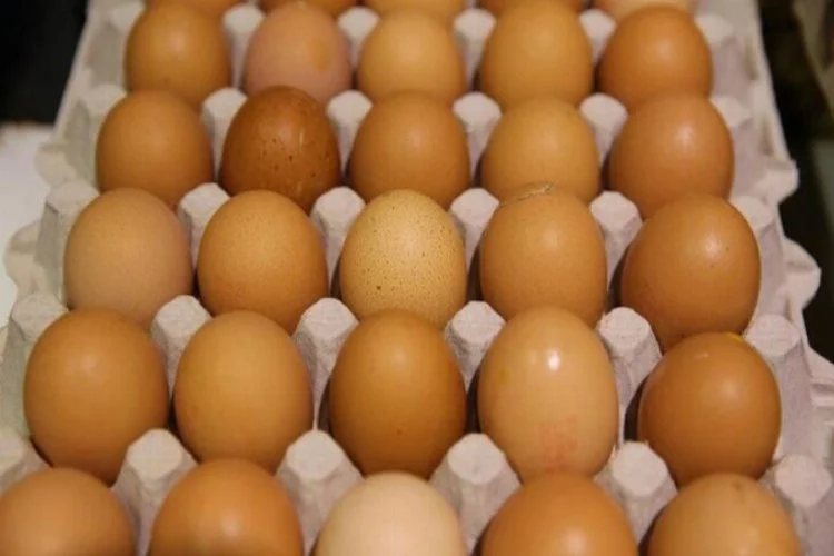Yumurta fiyatlarında "denge" hesapları