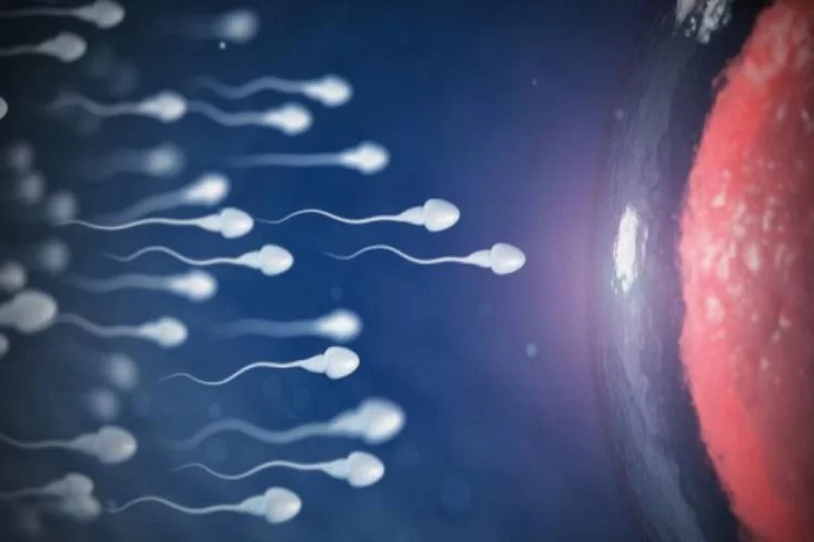 Sperm rengindeki değişikler ne anlama geliyor?