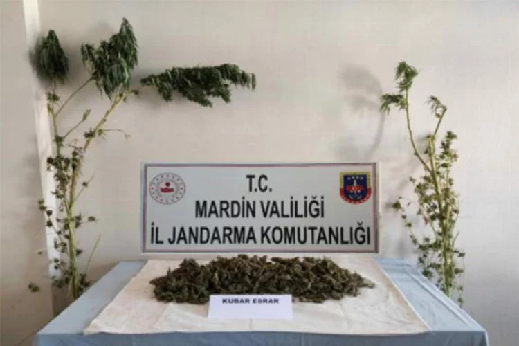 Mardin'de uyuşturucu operasyonu: 2 gözaltı