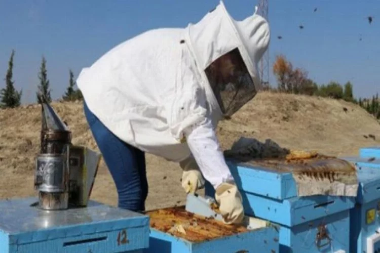 İŞKUR desteği aldı, arıların patroniçesi oldu