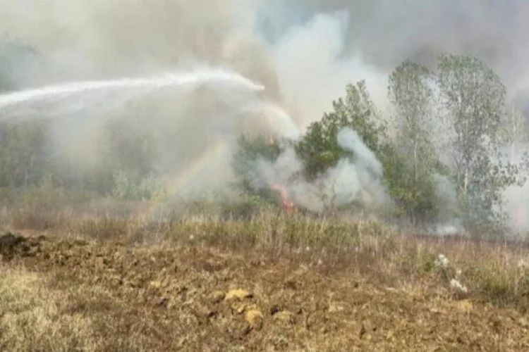Samsun'da orman yangını... 4 noktadan müdahale ediliyor
