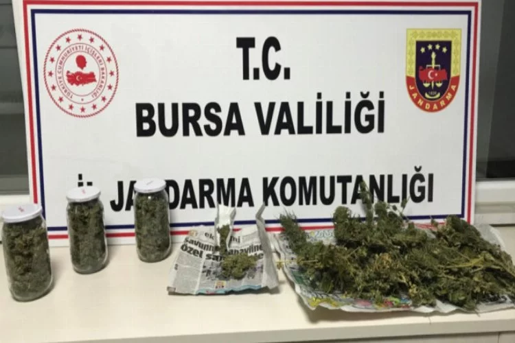 Bursa'da jandarmadan uyuşturucu operasyonu!