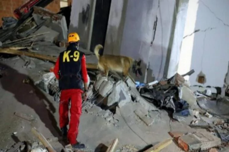 Arama kurtarma köpekleri depremzedelerin kurtarıcısı oldu